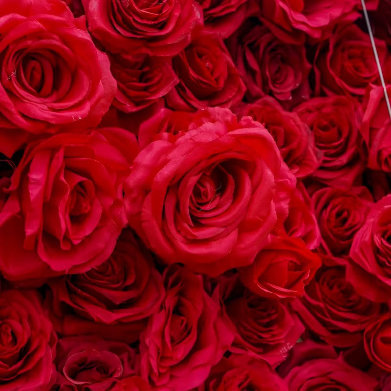 5D Red Rose Cloth Flower Wall Wedding Backdrop Decor Curtain Hanging Fabric Green Plant Floral Wall Event Banquet Party Props