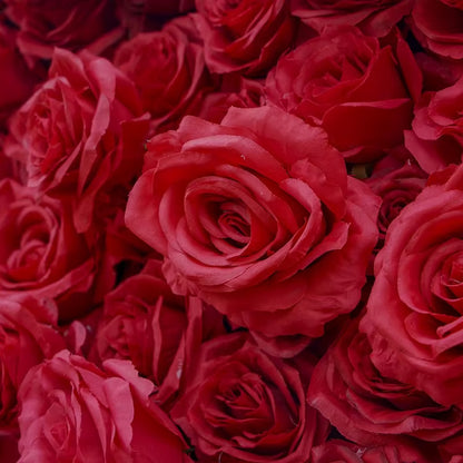 5D Red Rose Cloth Flower Wall Wedding Backdrop Decor Curtain Hanging Fabric Green Plant Floral Wall Event Banquet Party Props