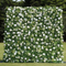 White Green 01