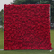 Red 01
