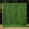 Green Plant Wall