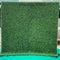Green Plant Wall